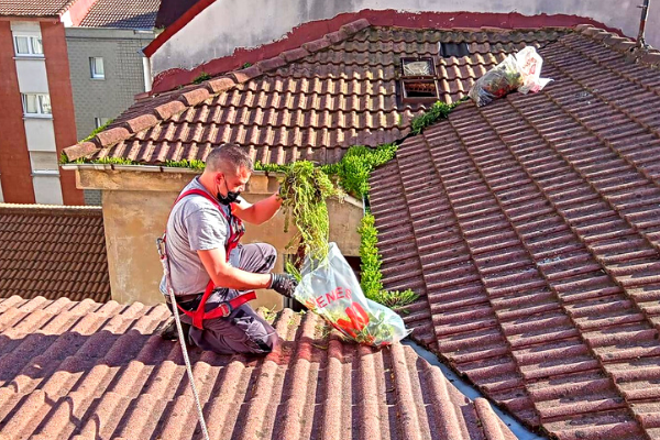 Limpieza de techos, bajantes y canalones